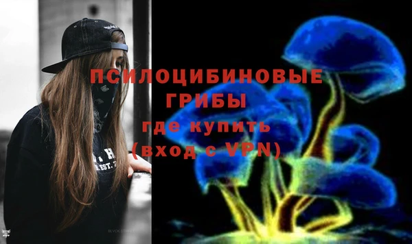 ГАЛЛЮЦИНОГЕННЫЕ ГРИБЫ Беломорск