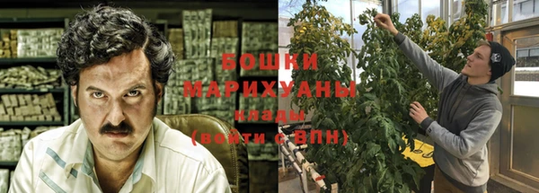 ГАЛЛЮЦИНОГЕННЫЕ ГРИБЫ Беломорск