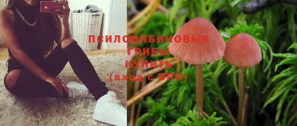 ГАЛЛЮЦИНОГЕННЫЕ ГРИБЫ Беломорск