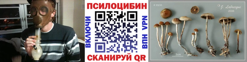 Псилоцибиновые грибы Psilocybine cubensis  купить   Уфа 