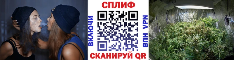 Бошки марихуана планчик  купить   Уфа 